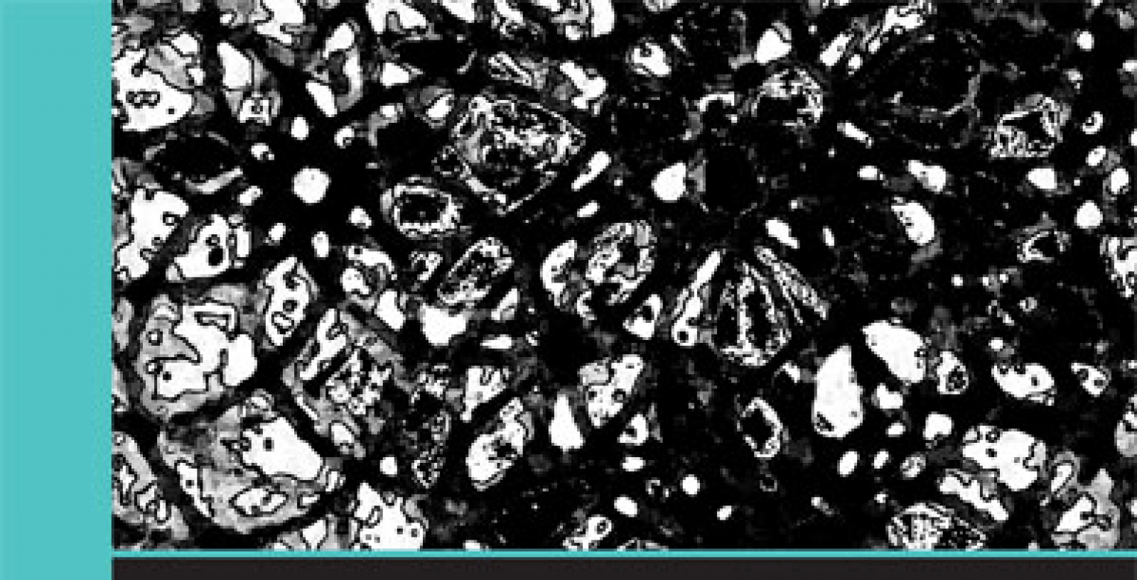 Recherches à découvert #10